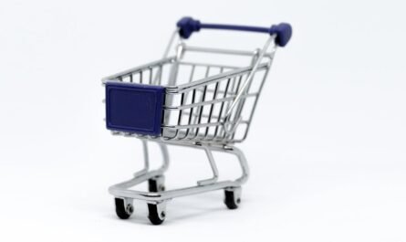 découvrez une expérience de shopping en ligne facile, rapide et sécurisée. parcourez une large sélection de produits, profitez des meilleures offres et faites-vous livrer directement chez vous !