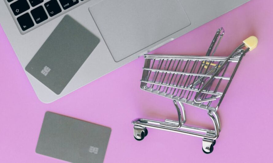 Boutiques en ligne : comment choisir la meilleure pour vos besoins ?