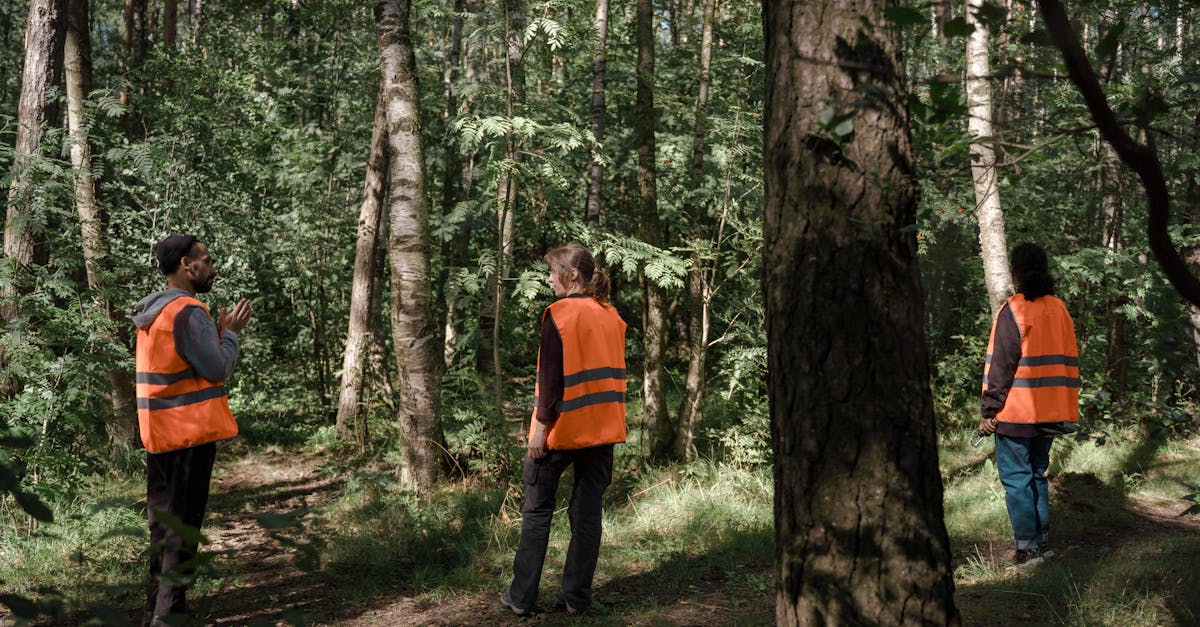 découvrez les services variés proposés par orange : téléphonie mobile, internet, télévision, solutions entreprises et innovations digitales pour répondre à tous vos besoins connectés.