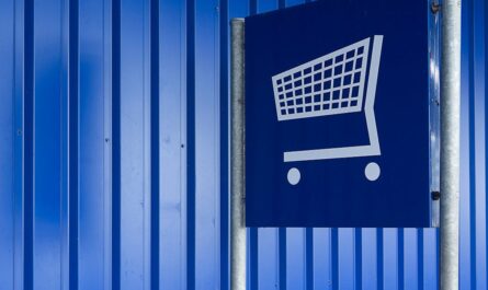 découvrez notre guide shopping complet : astuces, conseils et sélections pour trouver les meilleurs produits au meilleur prix et profiter d’une expérience d’achat réussie !