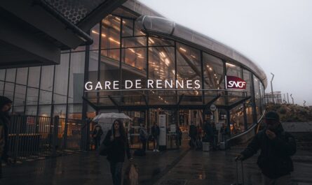découvrez toutes les informations sur la sncf : horaires de trains, réservations, services, actualités et conseils pour voyager sereinement en france avec la société nationale des chemins de fer français.