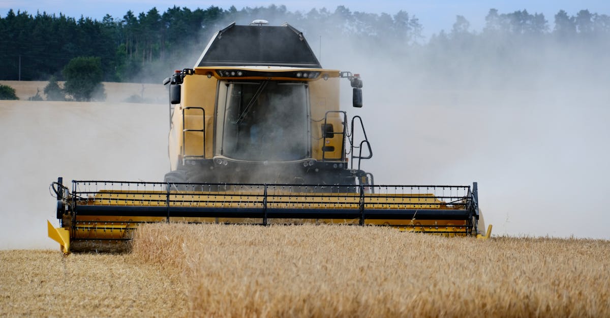 découvrez notre boutique de tracteurs : vente, entretien et accessoires pour tous vos besoins agricoles. profitez d'une large sélection de marques et de conseils d'experts pour trouver le tracteur idéal.