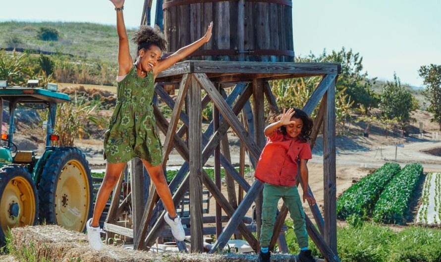 Tout savoir sur la boutique du tracteur : conseils, équipements et services