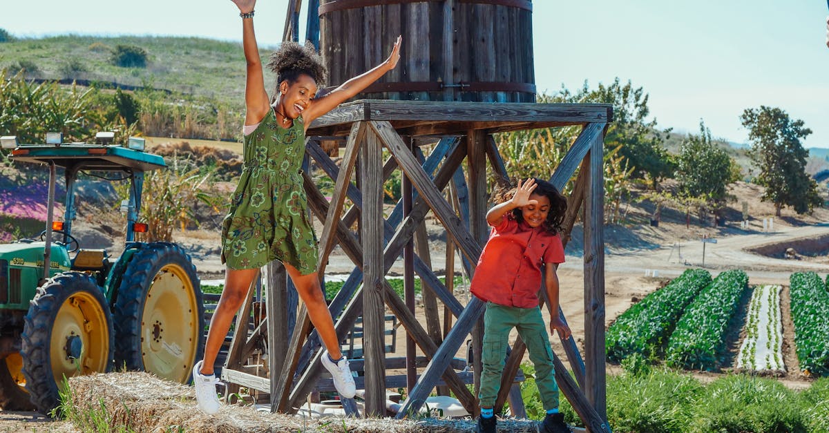 découvrez notre boutique spécialisée dans la vente de tracteurs : large choix de modèles neufs et d’occasion, pièces détachées, accessoires et conseils d’experts. trouvez le tracteur idéal pour tous vos besoins agricoles.