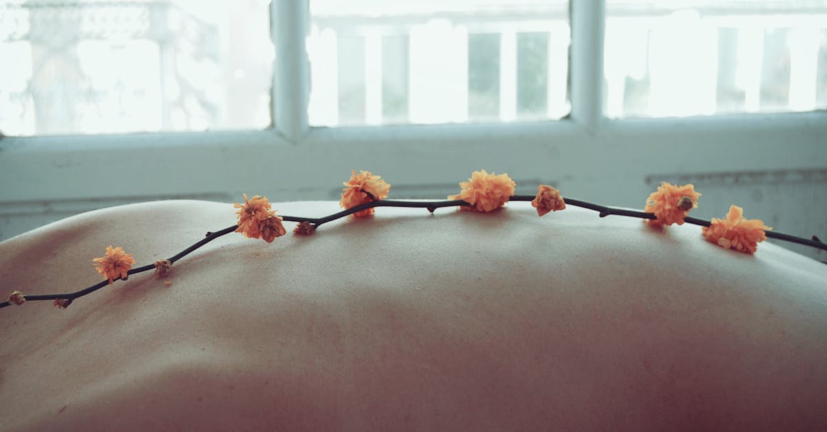 découvrez tout sur le wellness : conseils et solutions pour améliorer votre bien-être physique et mental, adopter une vie saine et équilibrée au quotidien.