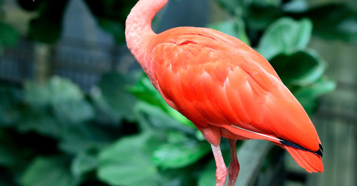 découvrez comment réussir avec amazon fba : guide complet, conseils pratiques et astuces pour optimiser votre vente en ligne via le service de logistique amazon.