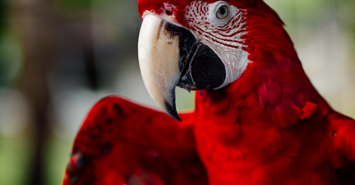 découvrez tout ce que vous devez savoir sur amazon fba : comment vendre efficacement, gérer votre inventaire et maximiser vos profits grâce au programme fulfillment by amazon.