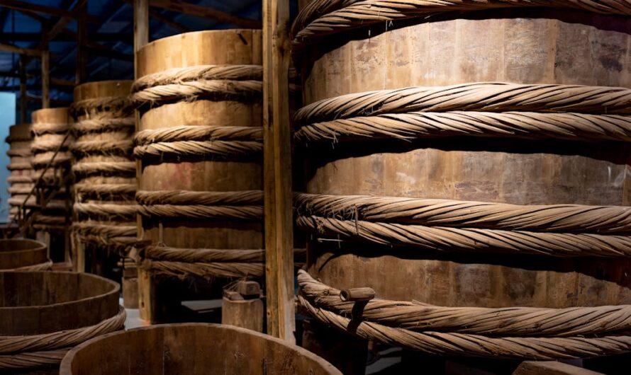 Découvrez tout sur la grande boutique : offres, services et avis clients