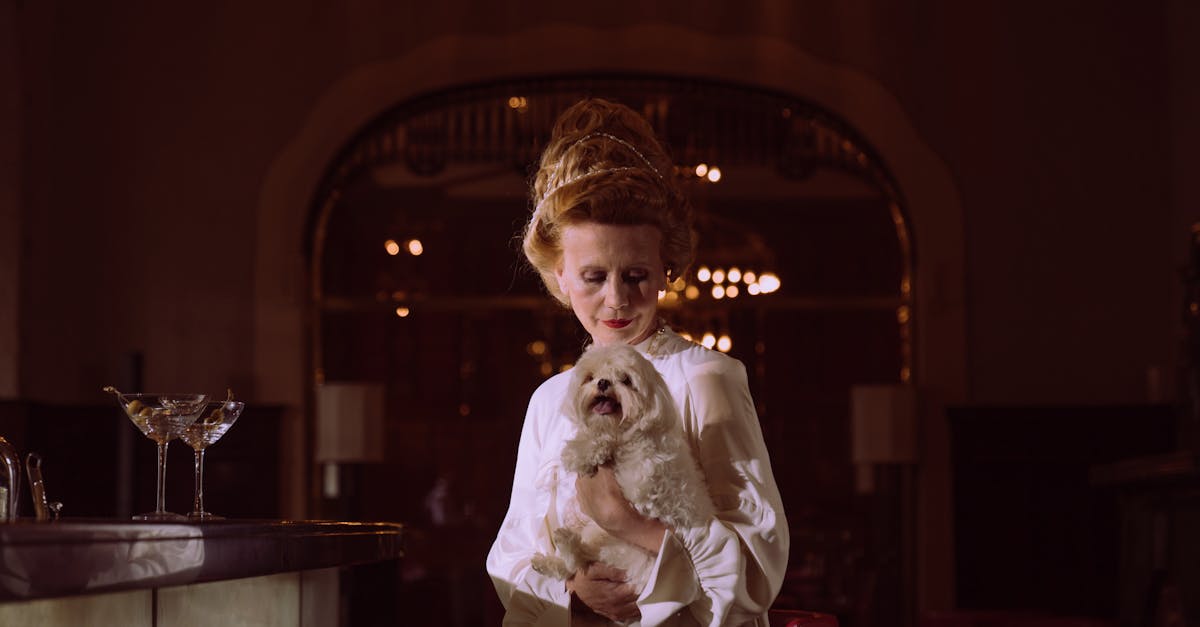 découvrez notre boutique hôtel alliant charme, confort et services personnalisés pour un séjour inoubliable au cœur de la ville.