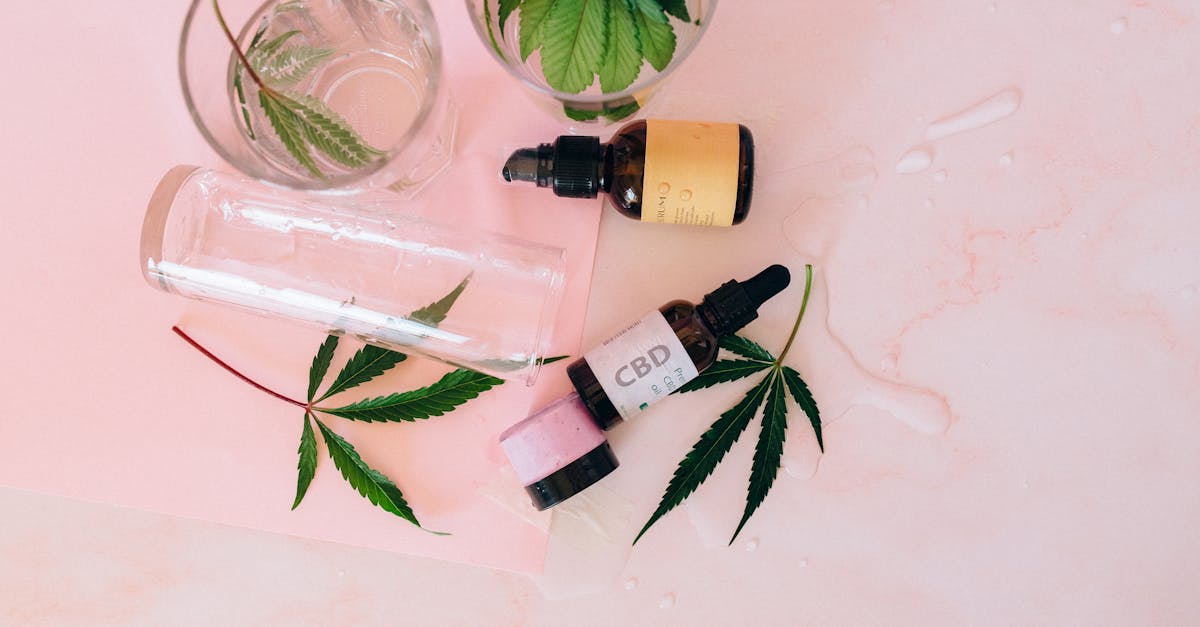 découvrez notre sélection de produits cbd de qualité, naturels et efficaces pour votre bien-être au quotidien.