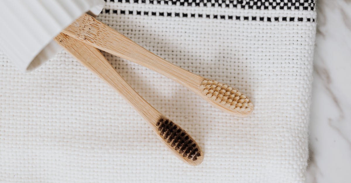 découvrez notre sélection de produits écologiques conçus pour préserver l'environnement tout en répondant à vos besoins quotidiens. adoptez un mode de vie durable avec nos solutions éco-responsables.