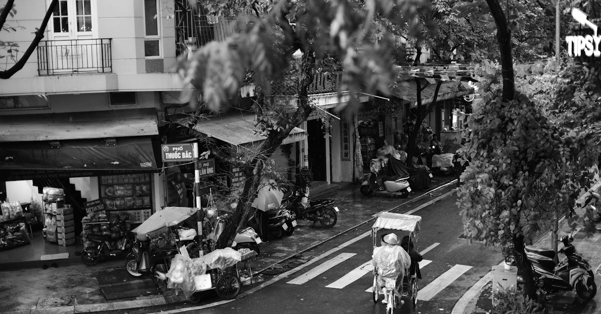 découvrez la boutique fortnite pour acheter les skins, emotes et objets cosmétiques les plus récents. restez à jour avec les nouveautés et faites de votre personnage une légende !