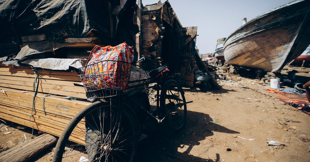 découvrez le fortnite shop pour accéder aux dernières skins, emotes et accessoires exclusifs. mettez à jour votre arsenal et personnalisez votre expérience de jeu dès aujourd'hui !