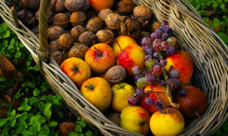 découvrez la boutique fortnite pour acheter skins, accessoires et objets exclusifs afin de personnaliser votre expérience de jeu.