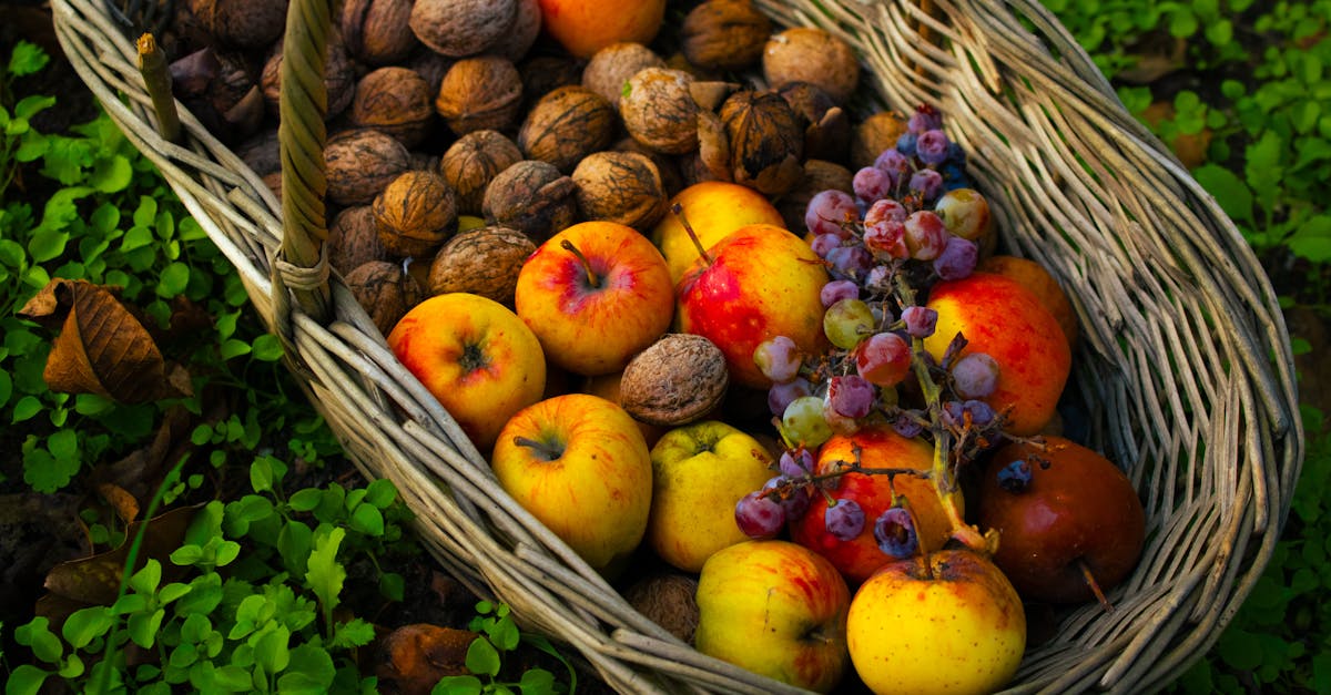 découvrez la boutique fortnite pour acheter skins, accessoires et objets exclusifs afin de personnaliser votre expérience de jeu.