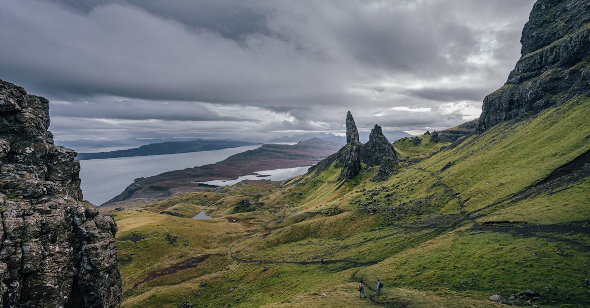 découvrez la boutique sea shepherd : produits éco-responsables pour soutenir la protection des océans et la vie marine.