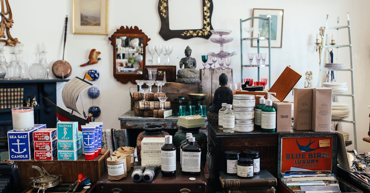 découvrez la boutique officielle sea shepherd : des produits éco-responsables dédiés à la protection des océans et à la conservation de la vie marine.