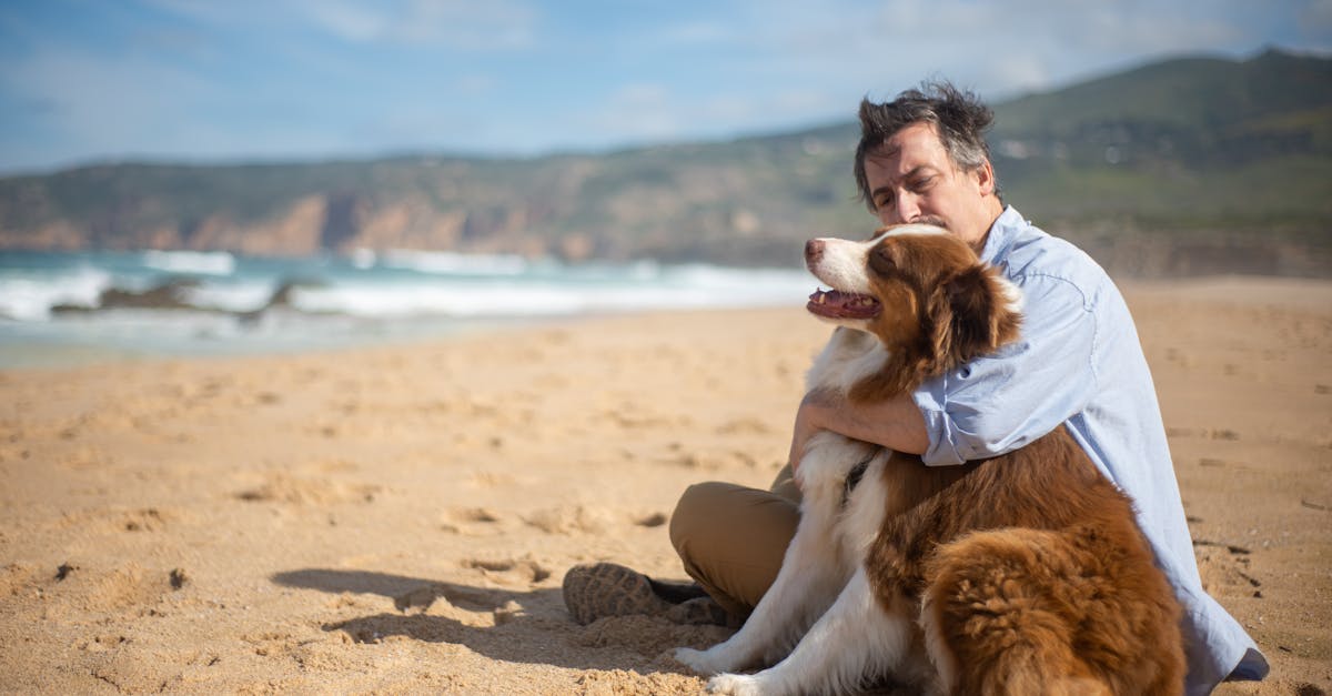 découvrez la boutique officielle sea shepherd : soutenez la protection des océans avec nos produits éco-responsables et engagés.