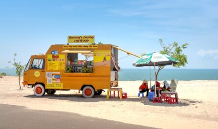 découvrez la boutique sea shepherd : vêtements, accessoires et articles responsables pour soutenir la protection des océans et la vie marine.