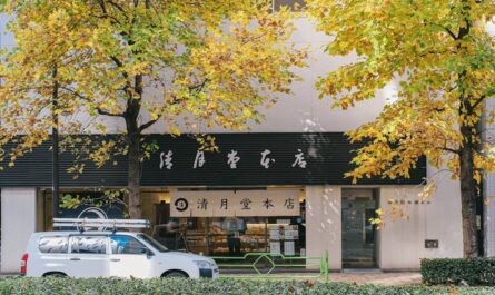 découvrez la boutique officielle du stade rochelais : équipements, maillots et accessoires exclusifs pour soutenir votre équipe favorite.