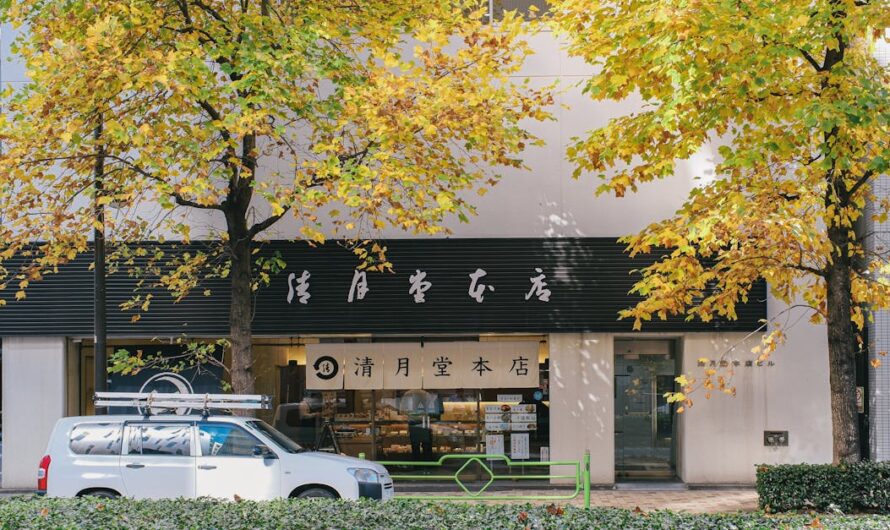 Tout savoir sur la boutique officielle du stade rochelais : produits, services et exclusivités