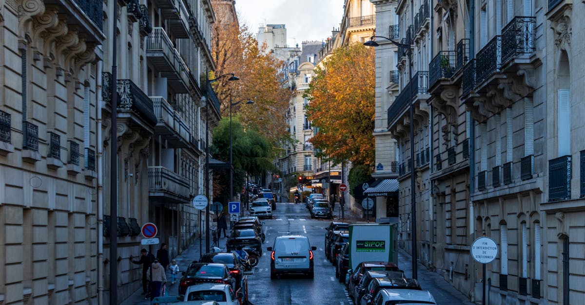 découvrez aroma-zone paris haussmann, votre boutique spécialisée en ingrédients naturels, huiles essentielles et diy beauté. créez vos cosmétiques maison avec des produits de qualité.