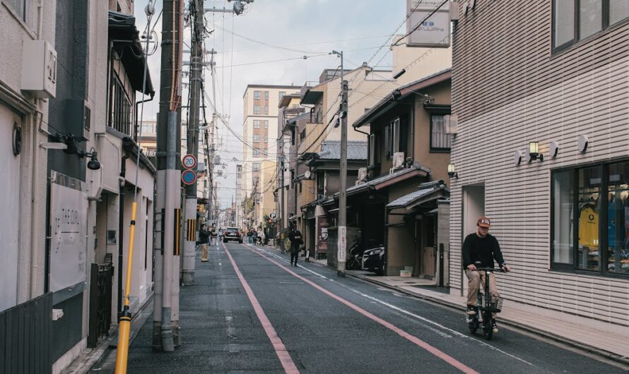 Tout savoir sur les boutiques incontournables de Bercy 2