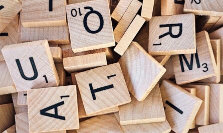 découvrez notre sélection de jeux de société pour tous les âges et tous les niveaux. amusez-vous en famille ou entre amis avec des jeux classiques et modernes.