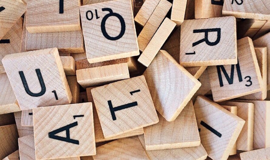 jeux de société boutique : comment choisir les meilleures références pour tous les joueurs