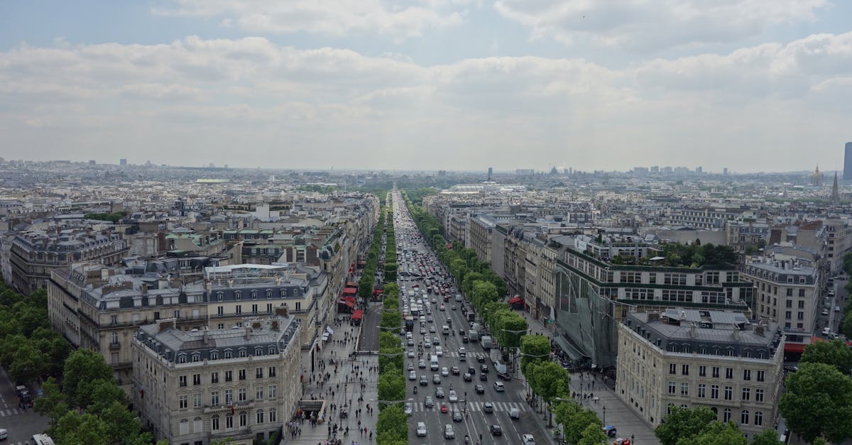 découvrez notre sélection de cbd shops proposant des produits de qualité pour bien-être et détente. huiles, fleurs, cosmétiques et accessoires disponibles.