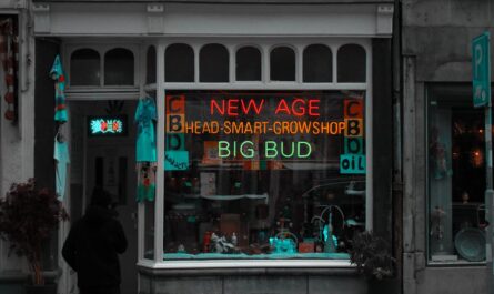 découvrez les meilleurs cbd shops à proximité pour des produits de qualité, naturels et légaux. profitez d'une large sélection d'huiles, fleurs et accessoires cbd adaptés à vos besoins.