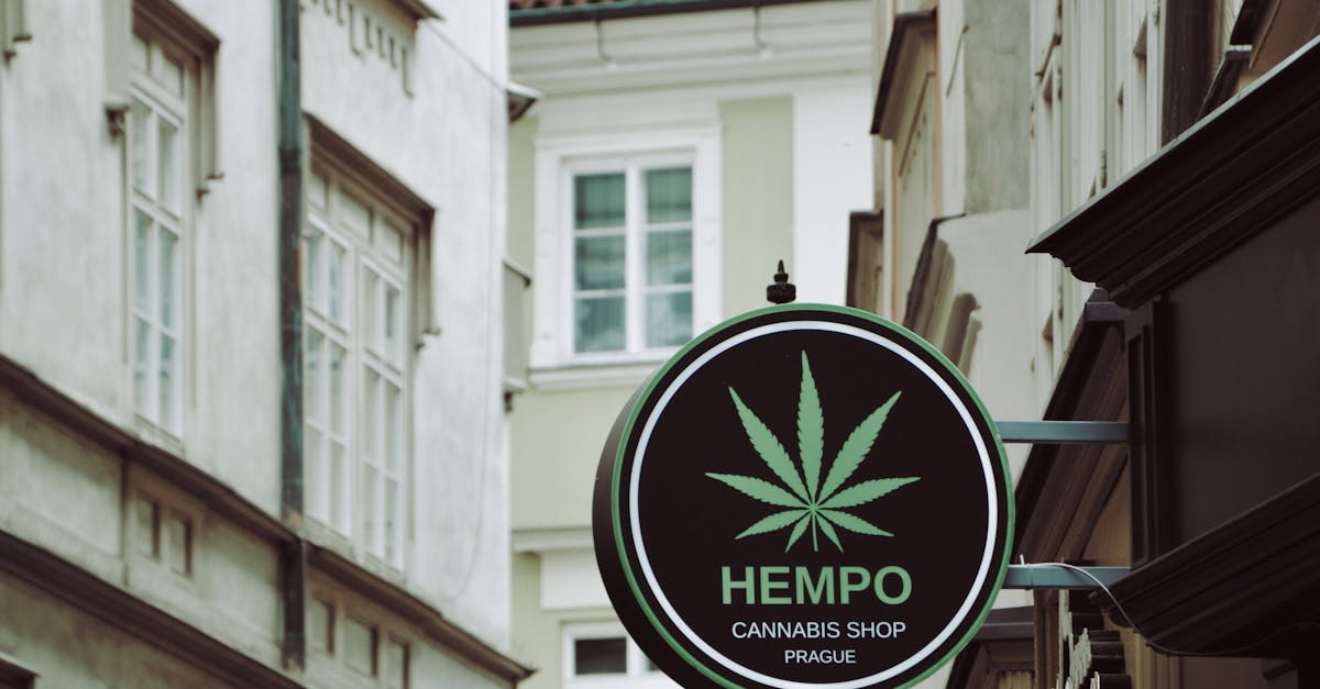 découvrez nos cbd shops offrant une large sélection de produits cbd de qualité, pour bien-être et détente. livraison rapide et conseils personnalisés.