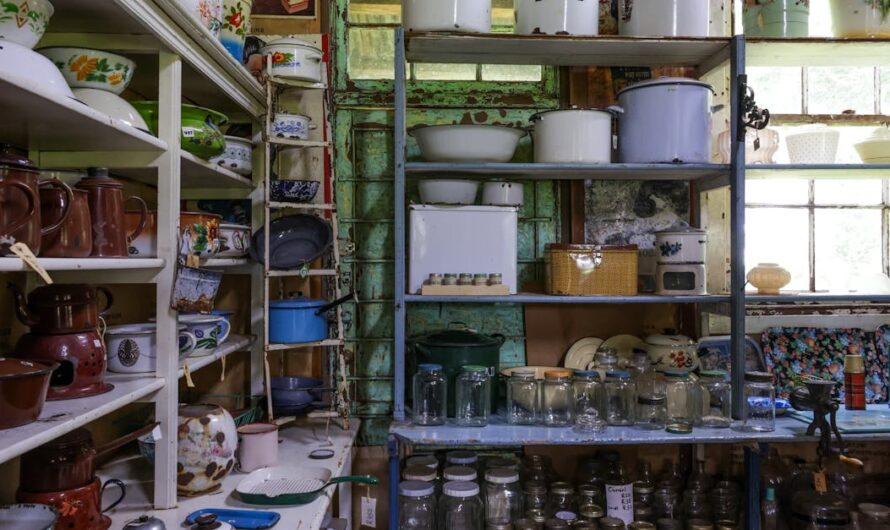 Tout savoir sur la boutique FC Metz : produits, nouveautés et conseils d&rsquo;achat