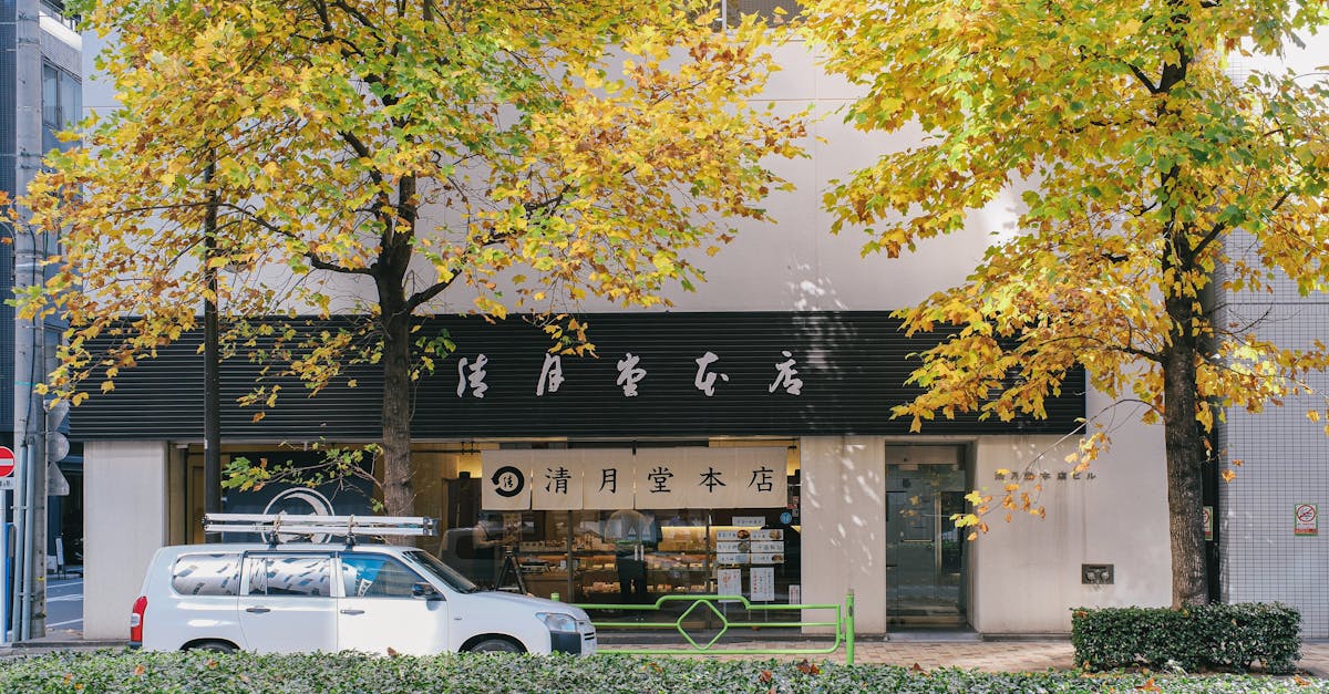 découvrez le fortnite shop : toutes les dernières skins, accessoires et nouveautés pour personnaliser votre expérience de jeu dans fortnite.