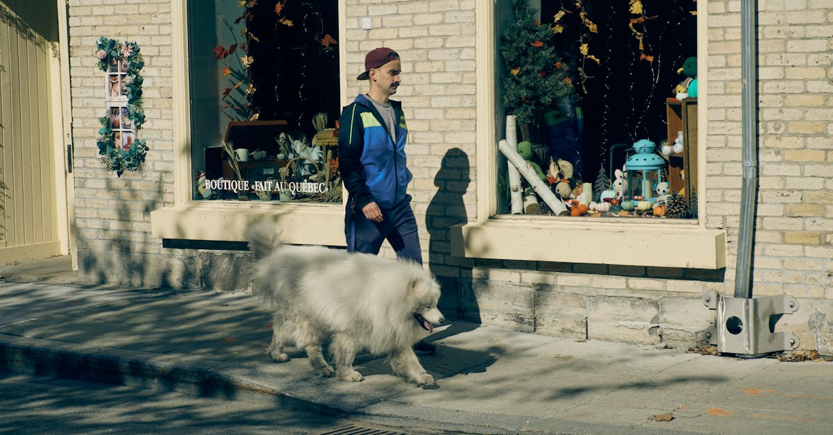 découvrez magical store, votre boutique en ligne magique proposant une sélection unique d'articles enchantés, cadeaux féériques et objets mystiques pour tous les goûts.