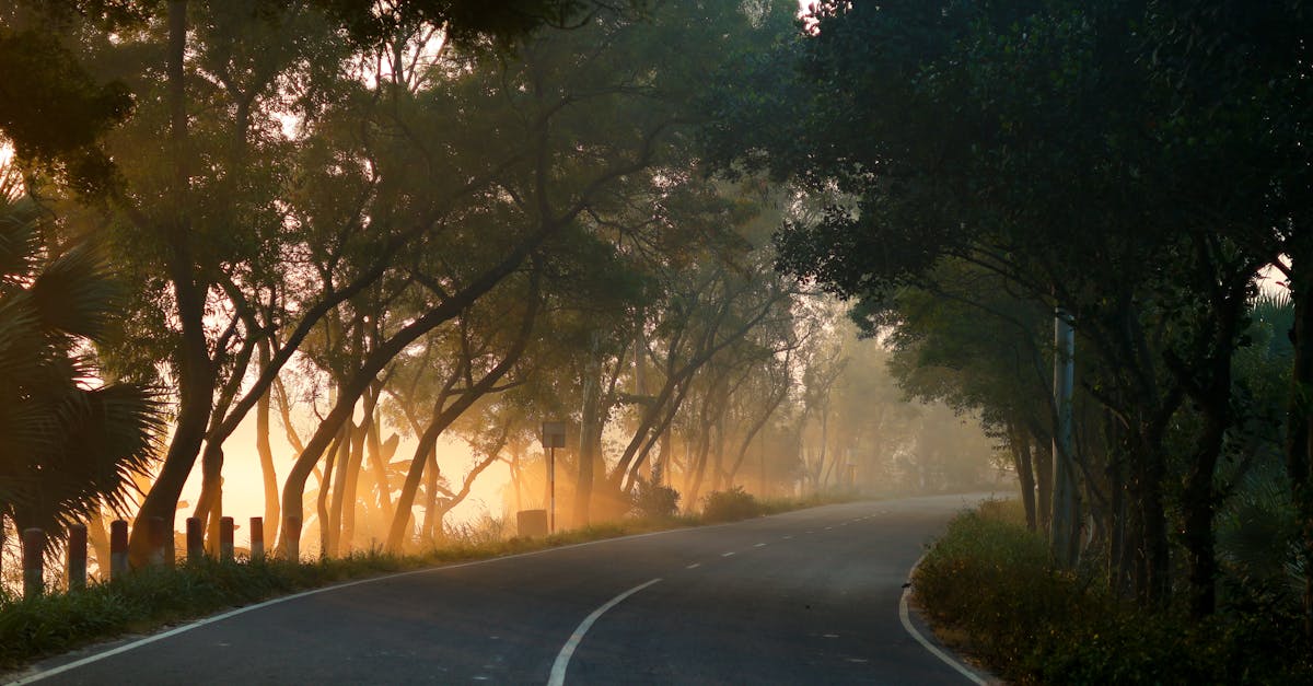 découvrez magical store, votre boutique en ligne dédiée aux produits féeriques et enchantés. trouvez des articles uniques pour vivre la magie au quotidien !