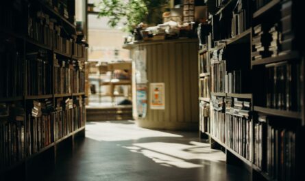 améliorez la boutique de tom nook pour accéder à plus d'articles et offrir une meilleure expérience de shopping sur votre île.