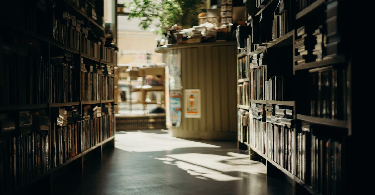 améliorez la boutique de tom nook pour accéder à plus d'articles et offrir une meilleure expérience de shopping sur votre île.