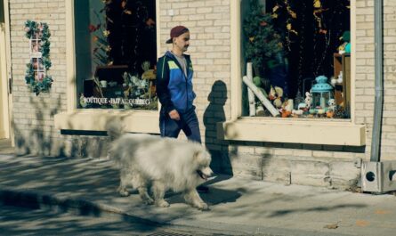 découvrez om marseille store, la boutique officielle pour tous les fans de l'olympique de marseille. trouvez maillots, accessoires et souvenirs officiels.