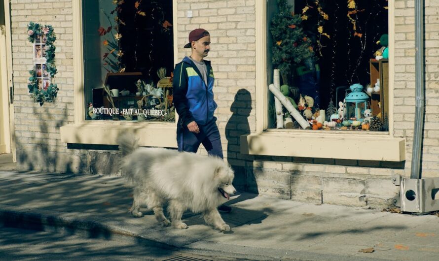 Tout savoir sur la boutique om marseille : produits, services et conseils d’achat