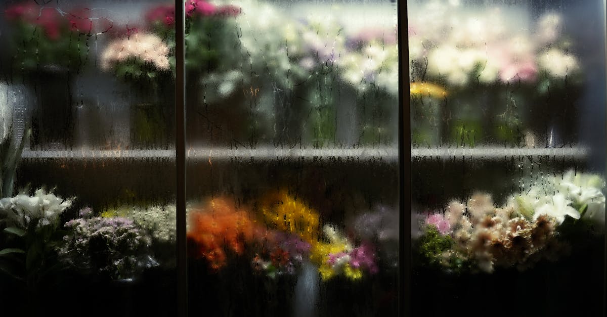 trouvez facilement le magasin orange le plus proche grâce à notre localisateur de boutiques. consultez les adresses, horaires et services disponibles.