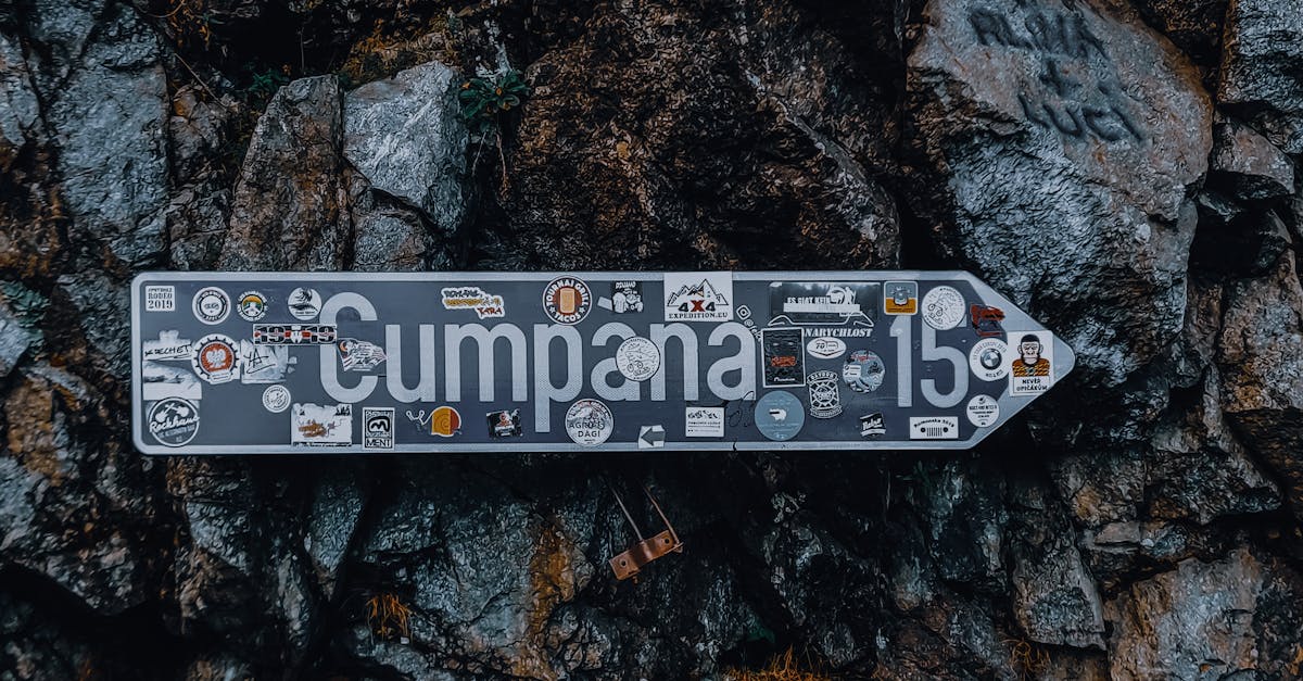 découvrez notre guide complet des magasins pour trouver les meilleures adresses, conseils et astuces shopping près de chez vous.