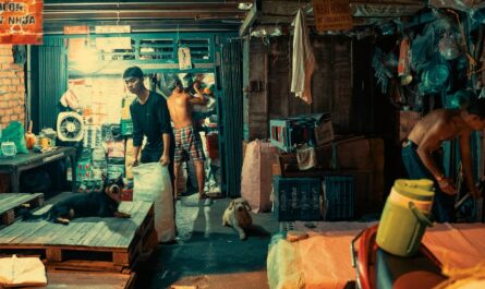 découvrez notre boutique de solidarité, où chaque achat soutient des causes sociales et favorise l'entraide. faites un geste solidaire tout en trouvant des produits uniques.