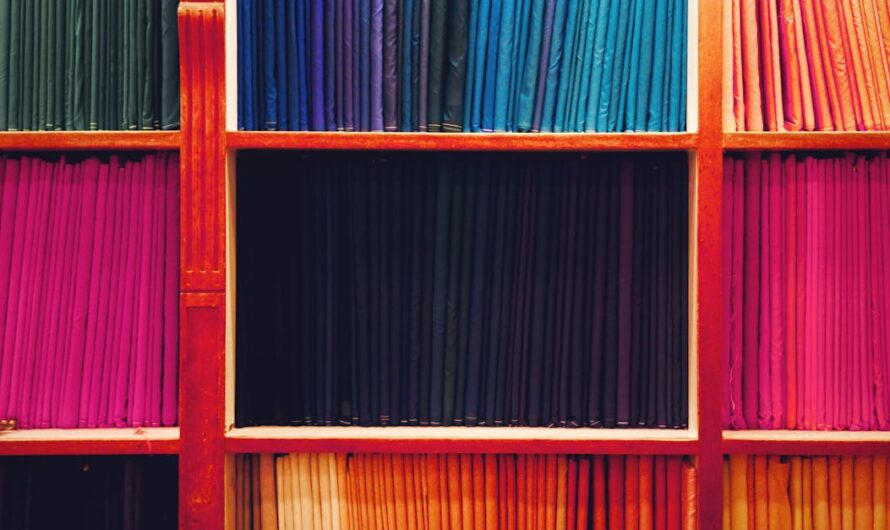 Tout savoir sur la boutique Ankama : jeux, produits dérivés et bons plans