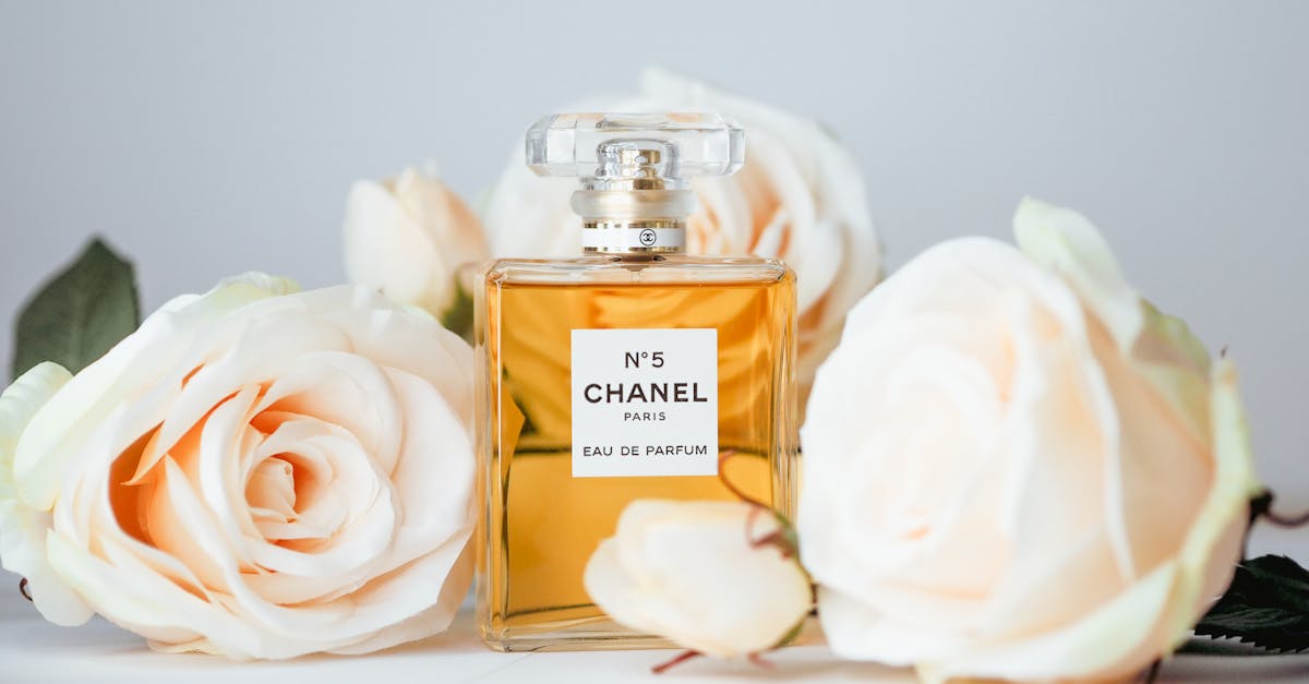 découvrez aroma zone paris au forum des halles : votre destination beauté pour des ingrédients naturels, ateliers diy et conseils experts en cosmétique maison.