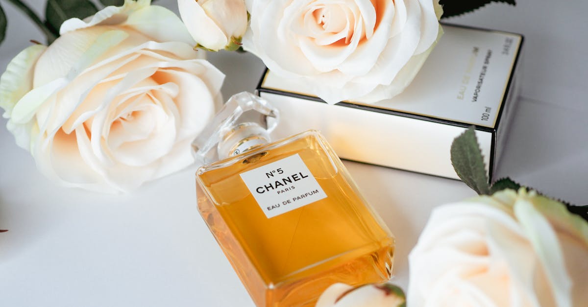 découvrez aroma zone paris au forum des halles : votre boutique incontournable pour des produits naturels de beauté et bien-être, ateliers diy et conseils personnalisés.