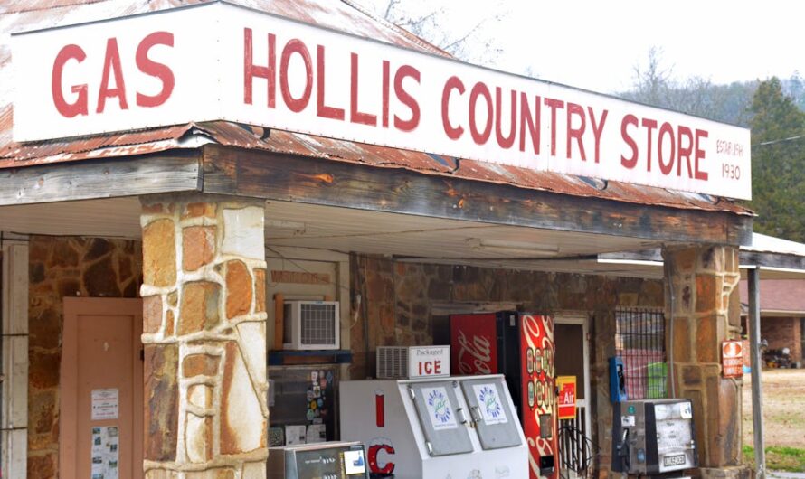 Tout savoir sur la boutique Aswo : offres, services et conseils d’achat