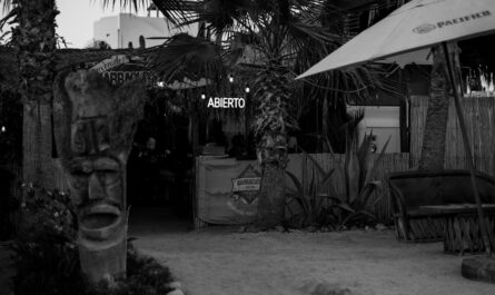 découvrez les meilleures boutiques locales près de chez vous pour des achats uniques et authentiques.