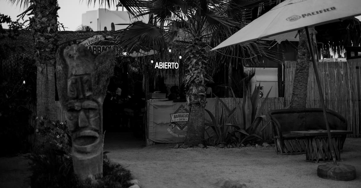 découvrez les meilleures boutiques locales près de chez vous pour des achats uniques et authentiques.