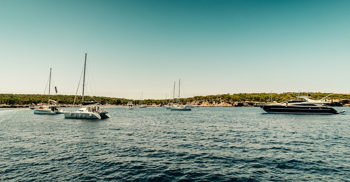 découvrez les meilleurs magasins à marseille pour une expérience de shopping unique, alliant qualité, variété et ambiance conviviale au cœur de la ville.